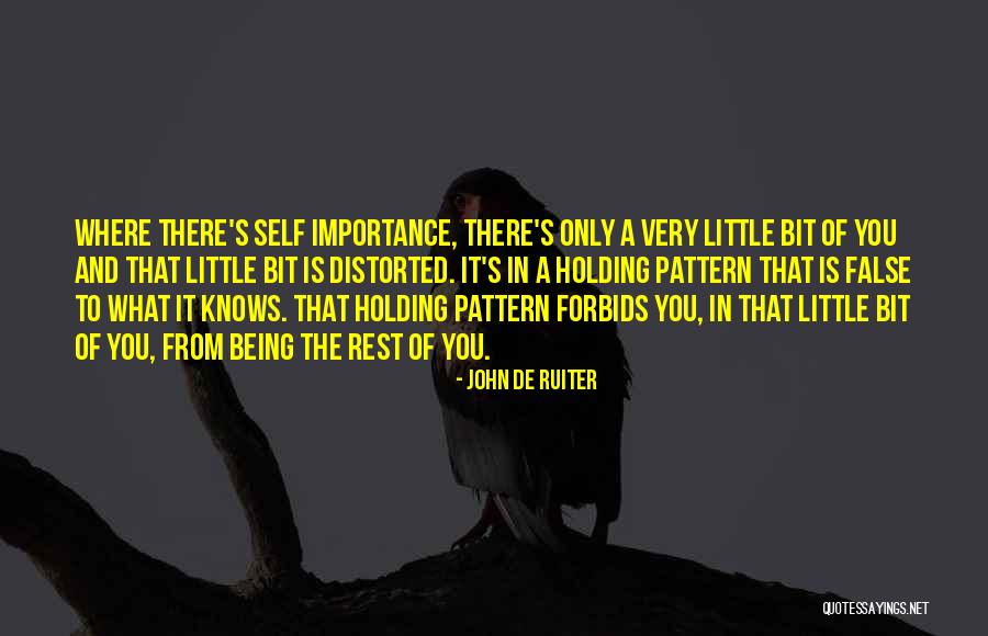 John De Ruiter Quotes 1690540