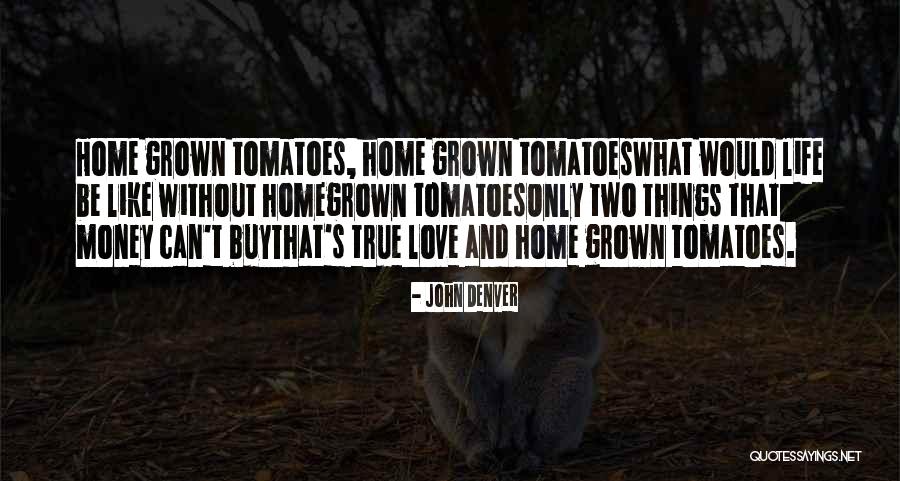 John Denver Quotes 1089127