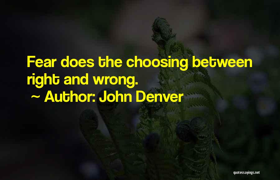 John Denver Quotes 1695682