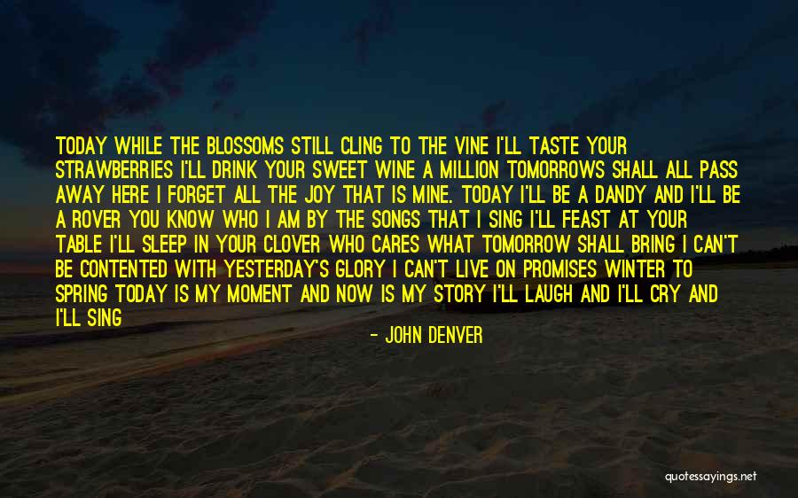 John Denver Quotes 217542 John Denver Quotes 217542