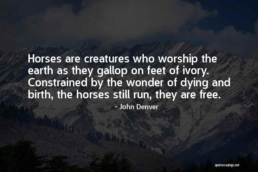 John Denver Quotes 579965 John Denver Quotes 579965