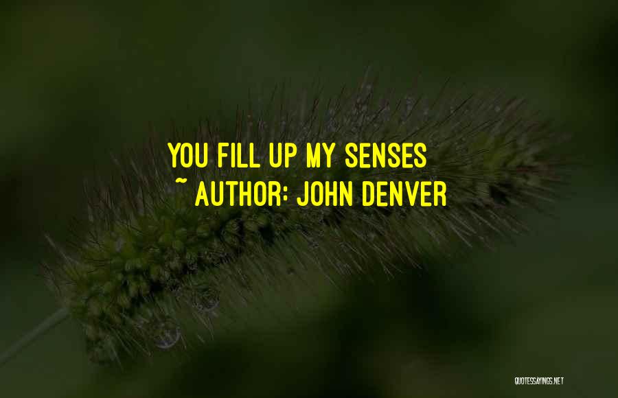 John Denver Quotes 647270