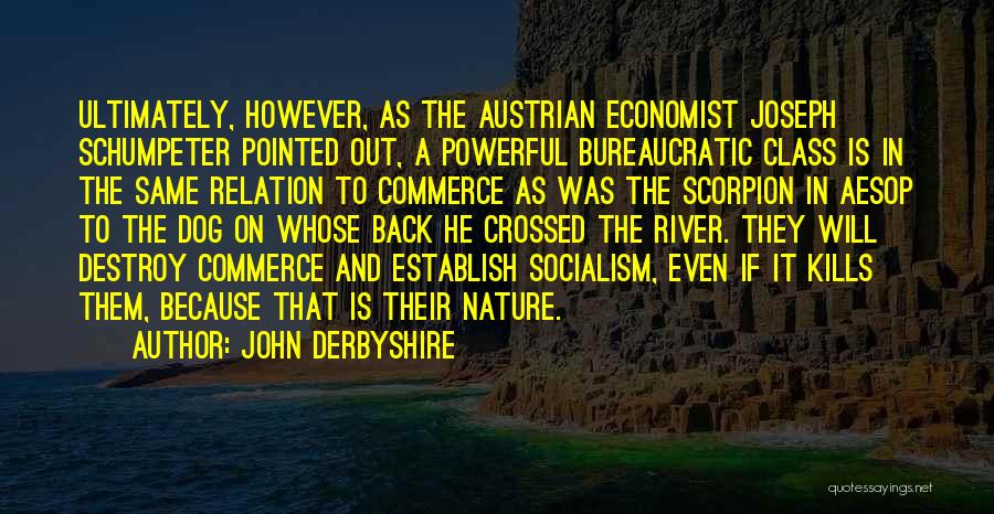 John Derbyshire Quotes 1995068