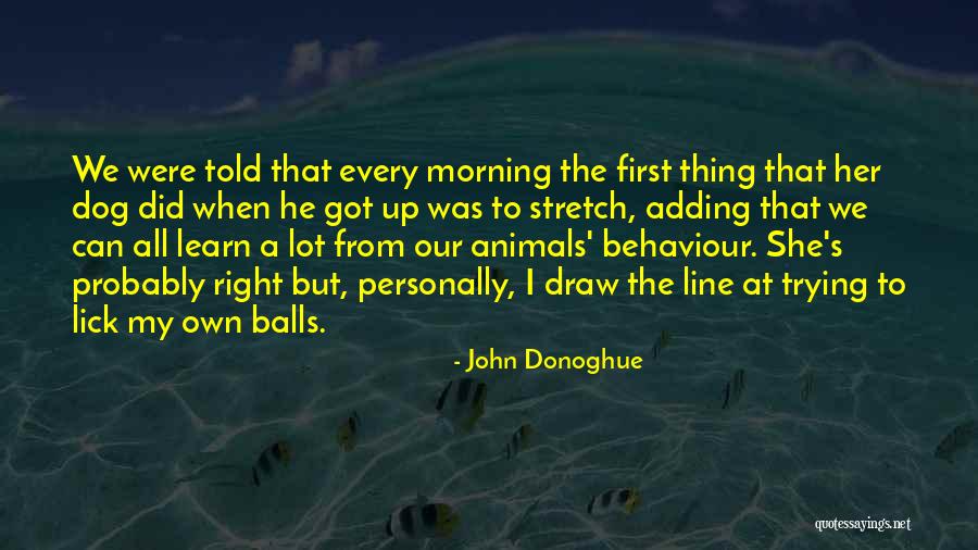 John Donoghue Quotes 2013895