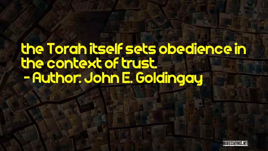 John E. Goldingay Quotes 840024