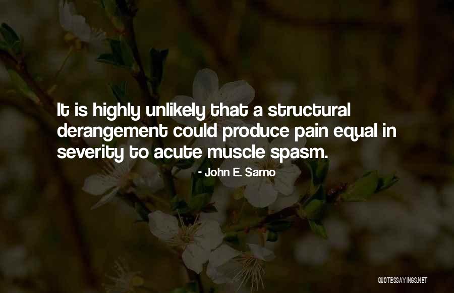 John E. Sarno Quotes 1205545