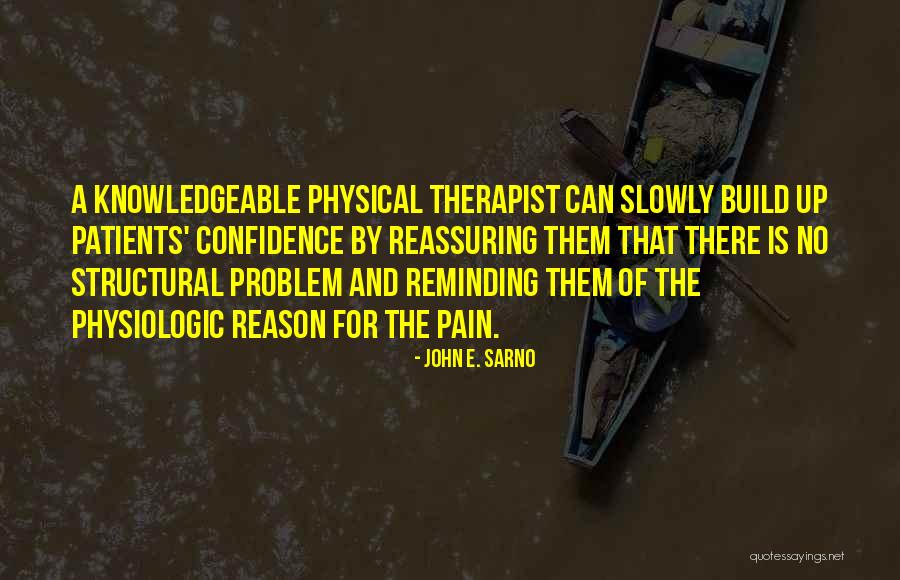 John E. Sarno Quotes 1643130 John E. Sarno Quotes 1643130