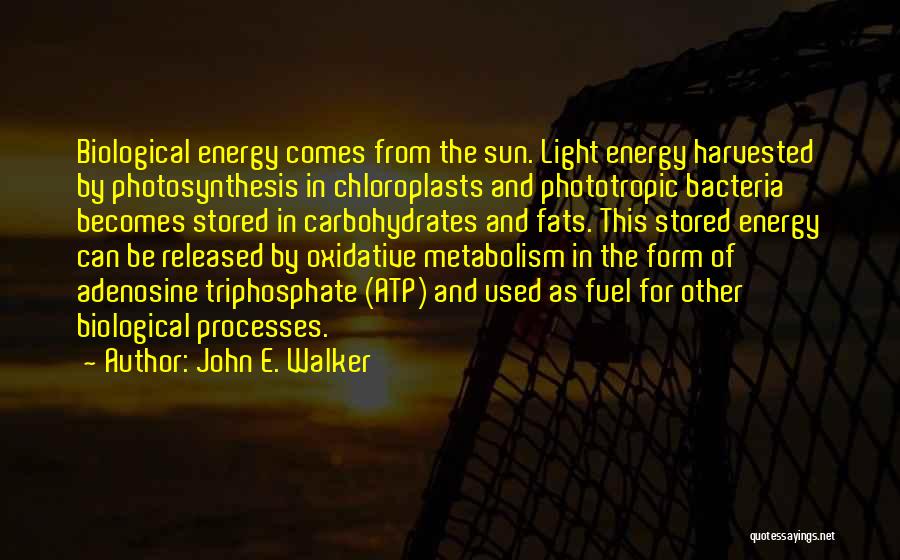 John E. Walker Quotes 1435575