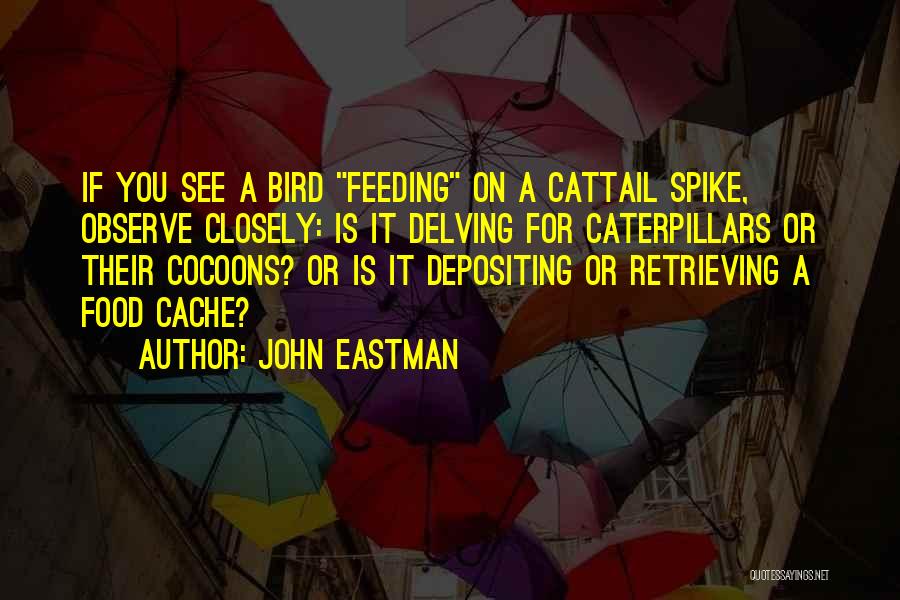 John Eastman Quotes 328819