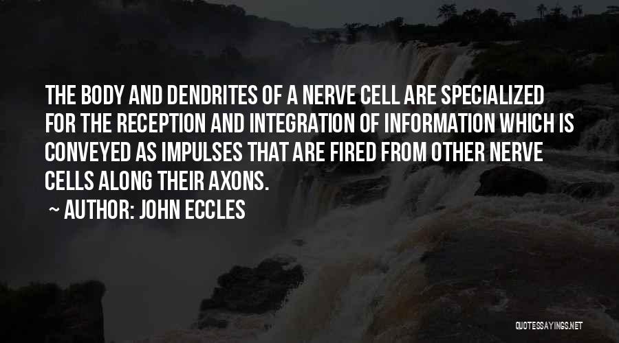 John Eccles Quotes 187214