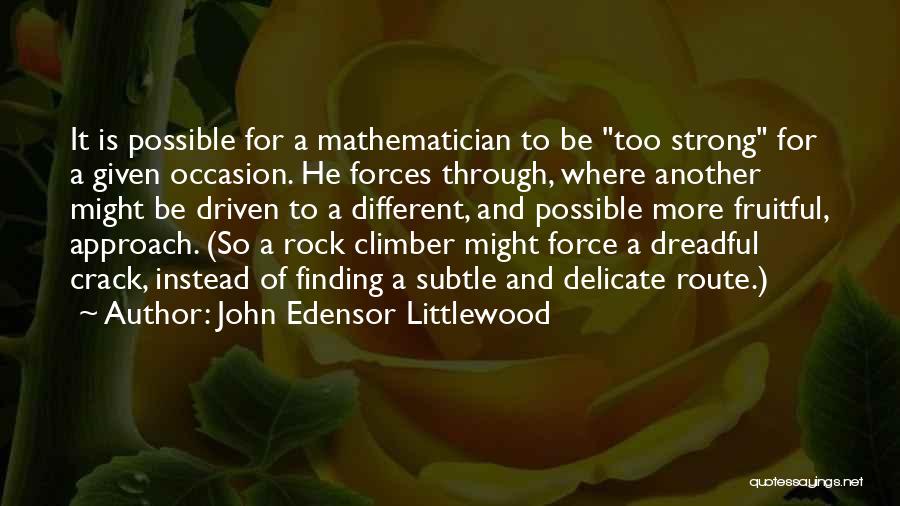 John Edensor Littlewood Quotes 549482