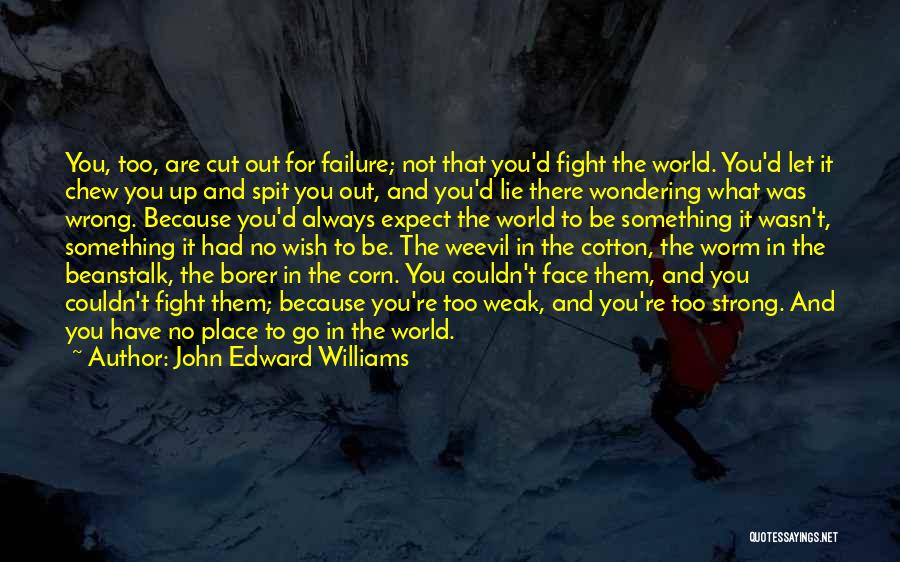John Edward Williams Quotes 652113