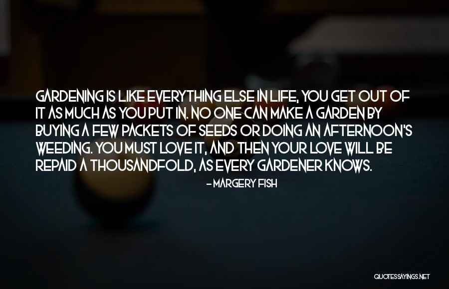 John Elefante Quotes By Margery Fish