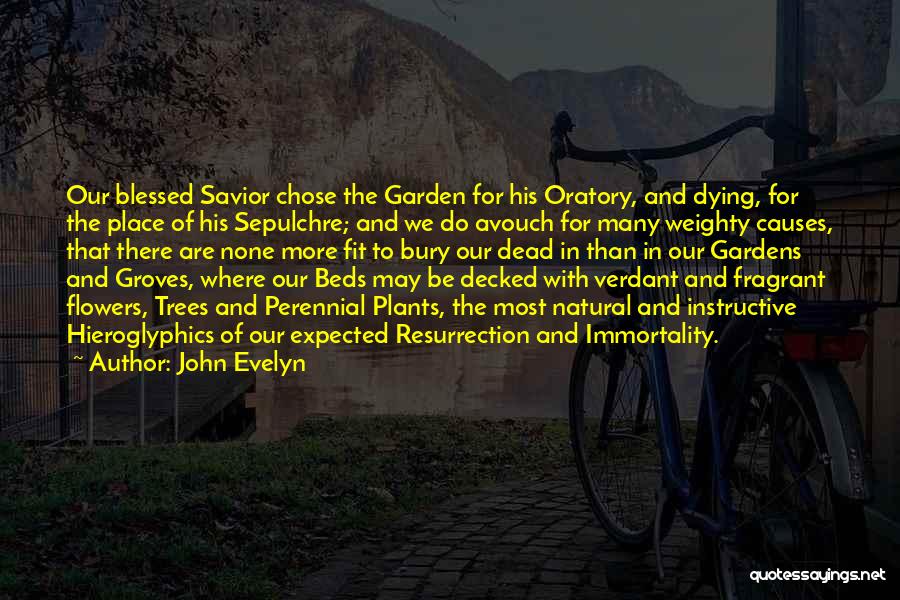 John Evelyn Quotes 219150