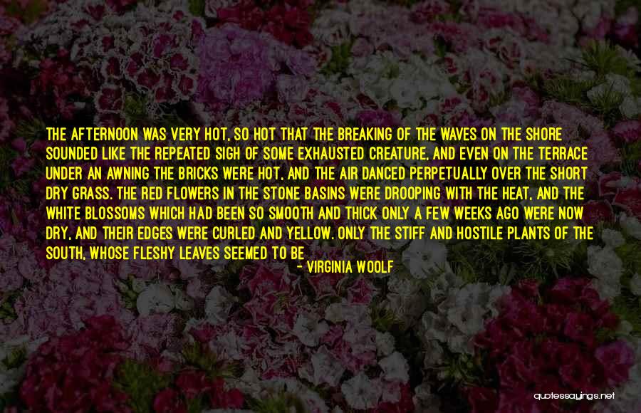 John F Kennedy Famous Navy Quotes By Virginia Woolf John F Kennedy Famous Navy Quotes By Virginia Woolf