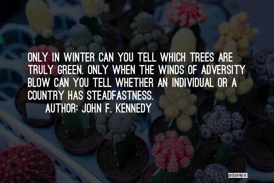 John F. Kennedy Quotes 525226