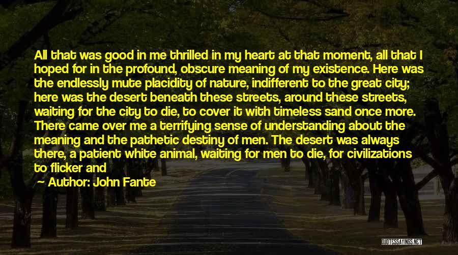 John Fante Quotes 886409