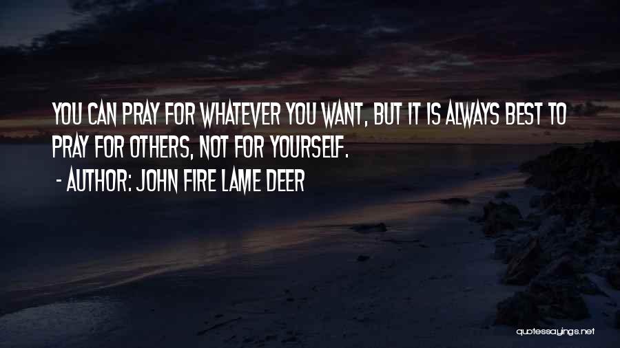 John Fire Lame Deer Quotes 291446