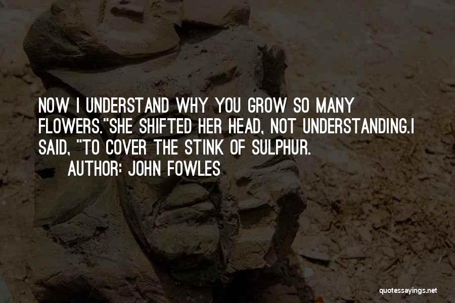 John Fowles Quotes 1573285