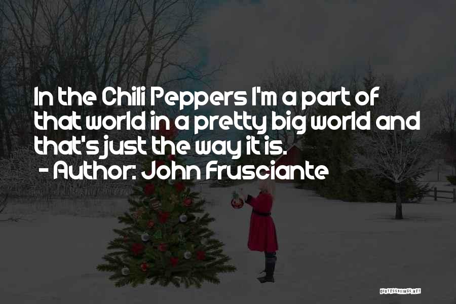 John Frusciante Quotes 1011183