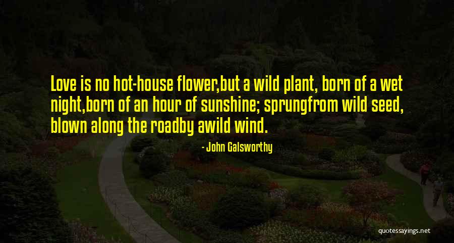 John Galsworthy Quotes 1921096