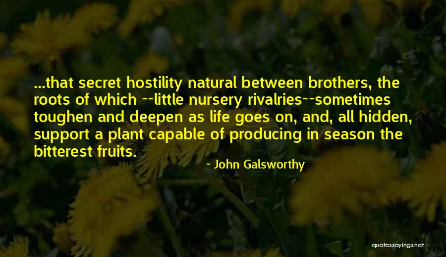 John Galsworthy Quotes 875940