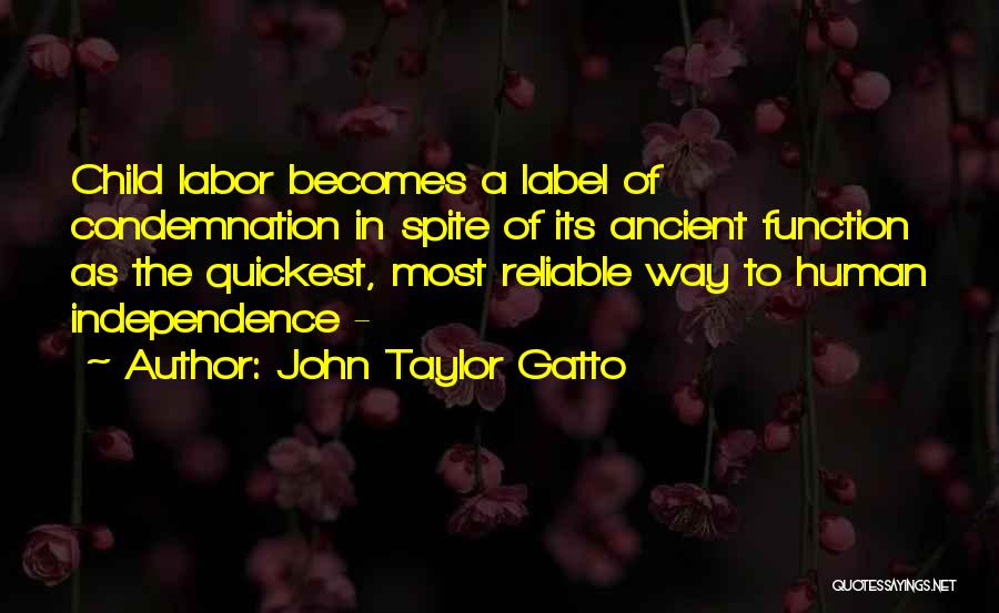 John Gatto Quotes By John Taylor Gatto