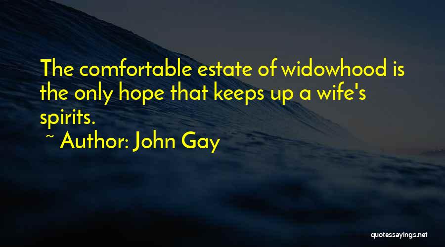 John Gay Quotes 624783