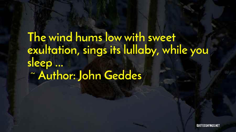John Geddes Quotes 2113308