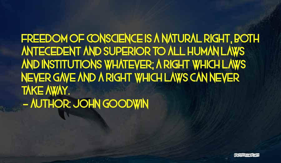 John Goodwin Quotes 617995