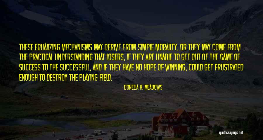 John Gotti Sr Quotes By Donella H. Meadows