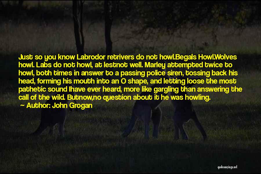 John Grogan Quotes 635176