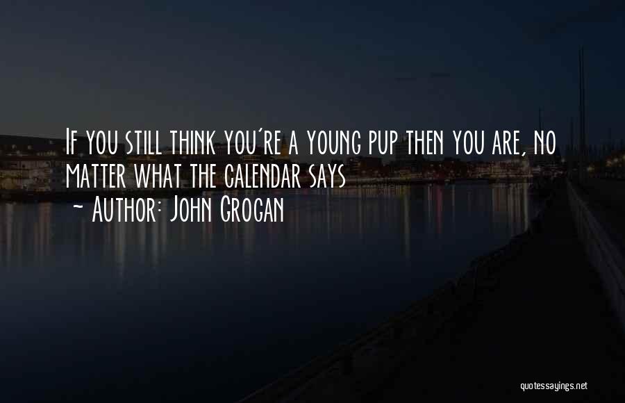 John Grogan Quotes 667807