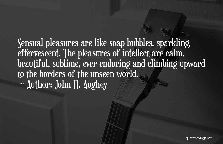 John H. Aughey Quotes 458003