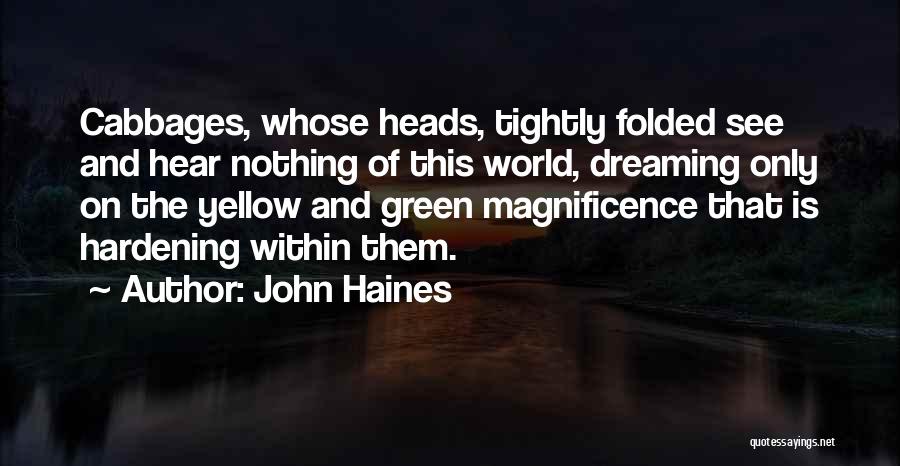 John Haines Quotes 1377044