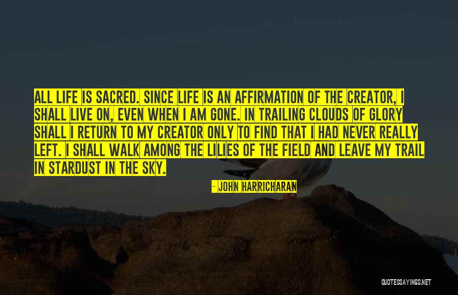 John Harricharan Quotes 1848164