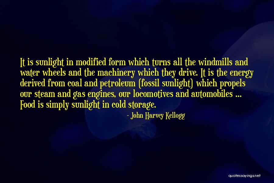 John Harvey Kellogg Quotes 2111136