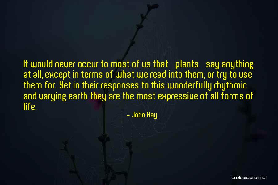 John Hay Quotes 1569355