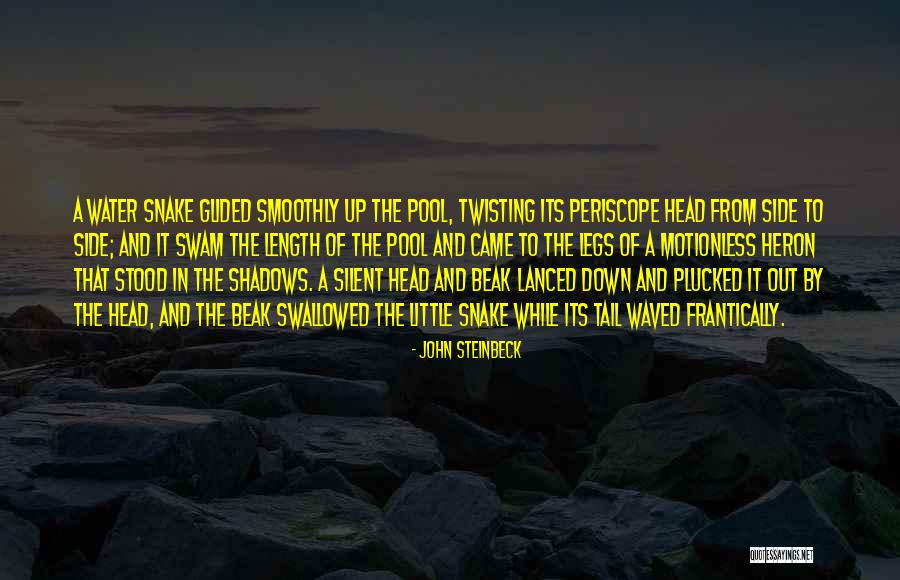 John Heron Quotes By John Steinbeck John Heron Quotes By John Steinbeck