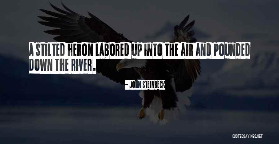 John Heron Quotes By John Steinbeck John Heron Quotes By John Steinbeck