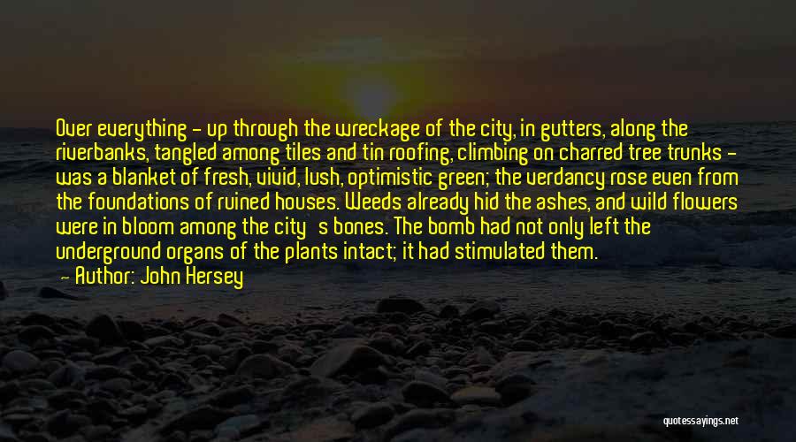 John Hersey Hiroshima Quotes By John Hersey