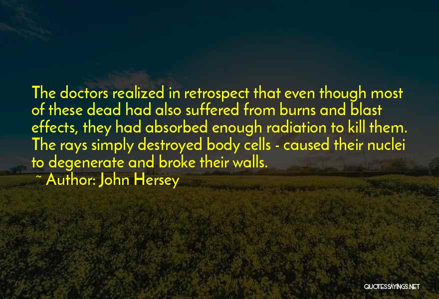 John Hersey Quotes 998224