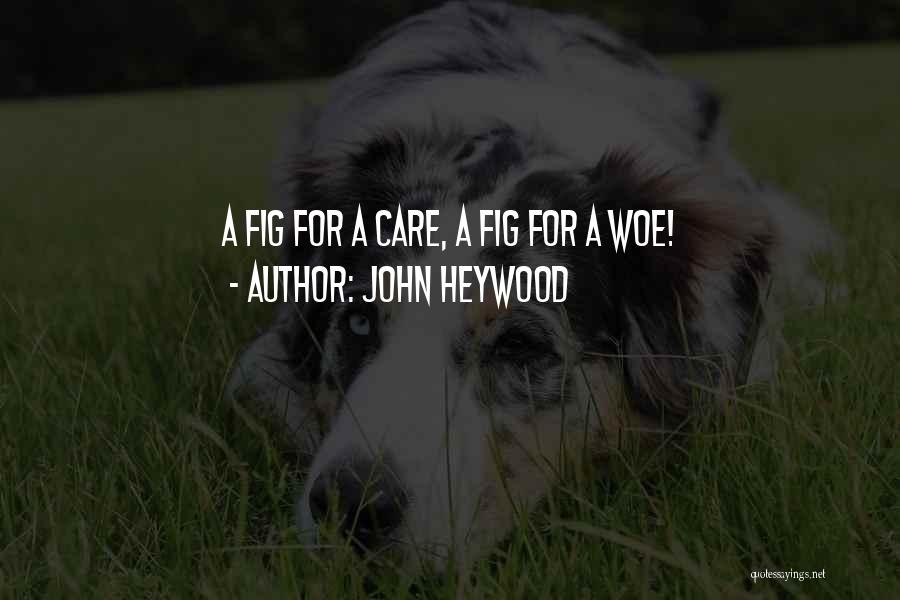 John Heywood Quotes 1883875