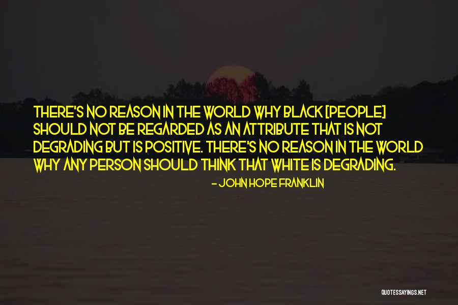 John Hope Franklin Quotes 1349783