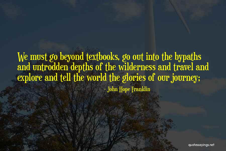 John Hope Franklin Quotes 1896129