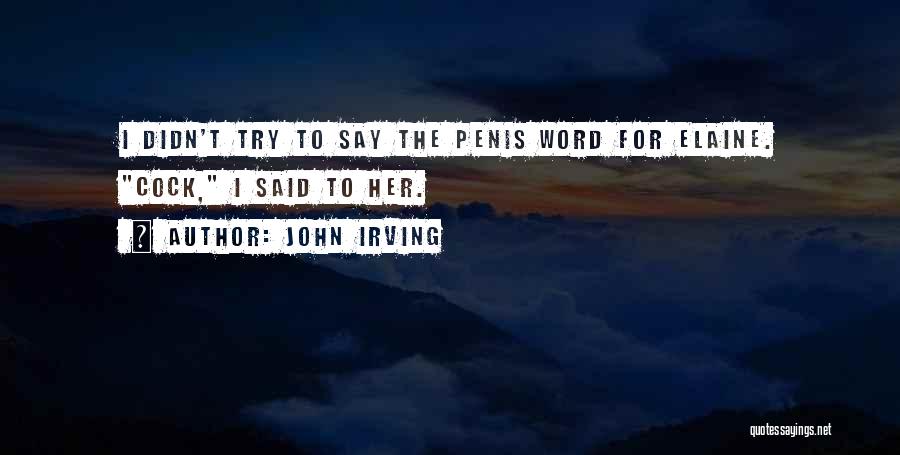 John Irving Quotes 1097580