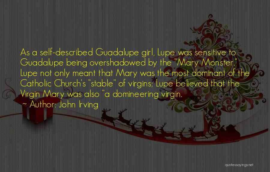 John Irving Quotes 1240097