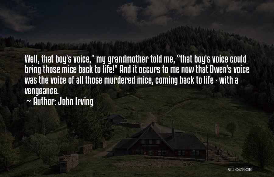John Irving Quotes 450006