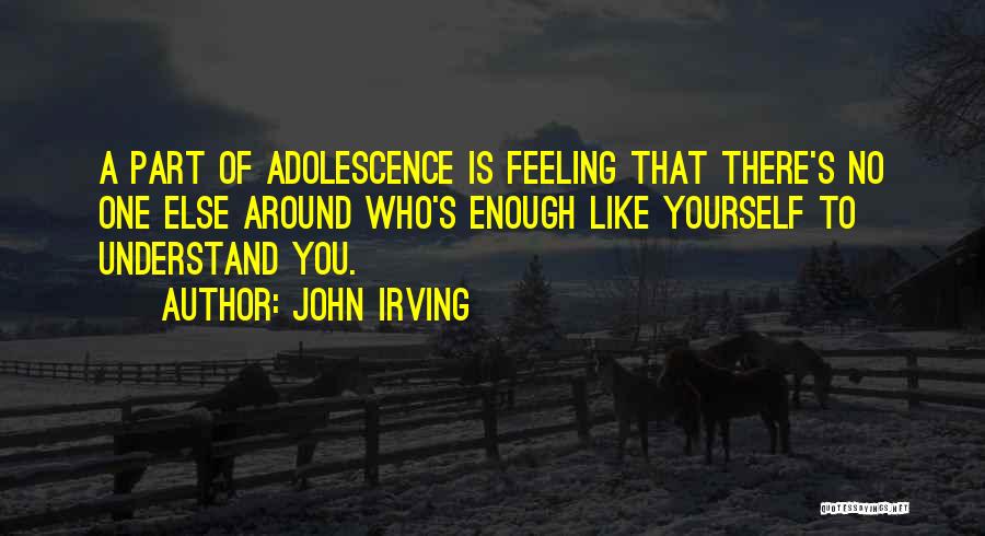 John Irving Quotes 691565