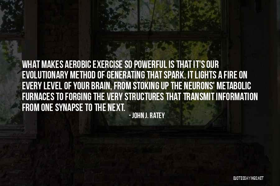 John J. Ratey Quotes 1630031